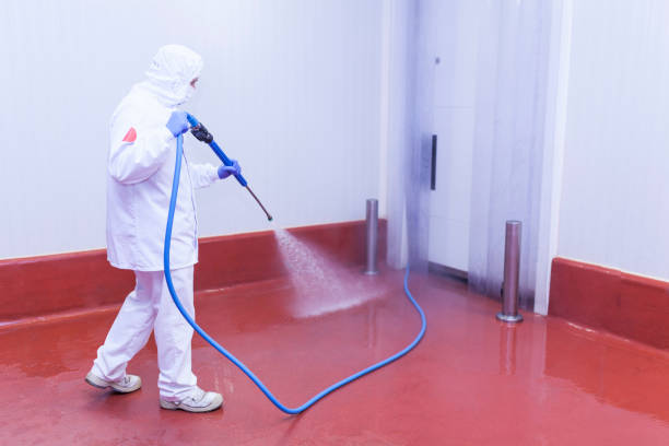 Best Sidewalk and Walkway Pressure Cleaning in Sabetha, KS
